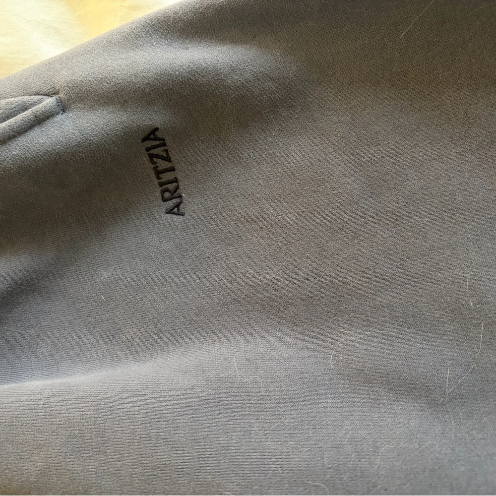 Aritzia Sweatfleece Sweatpants